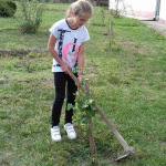 Дечја недеља 2017__020