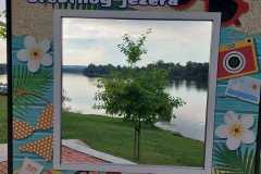 441881572_421043060773699_7838710273213429543_n