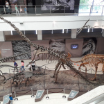 20170514_120640
