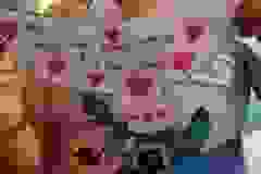 424589721_406879265523412_7231972695114073212_n