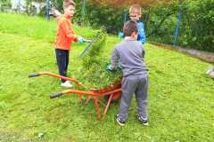 440350849_408022455409093_5520288242712326536_n