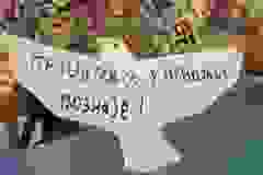 440414413_406879195523419_5674367036366226731_n