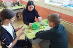 439318551_397977896413549_1776469763549199401_n